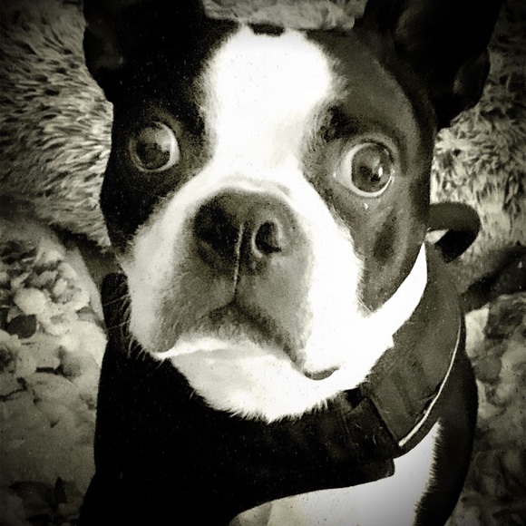 Meet your Posher, Erin - Picture 5 of 6